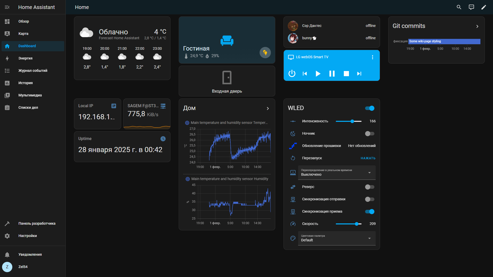 Home assistant